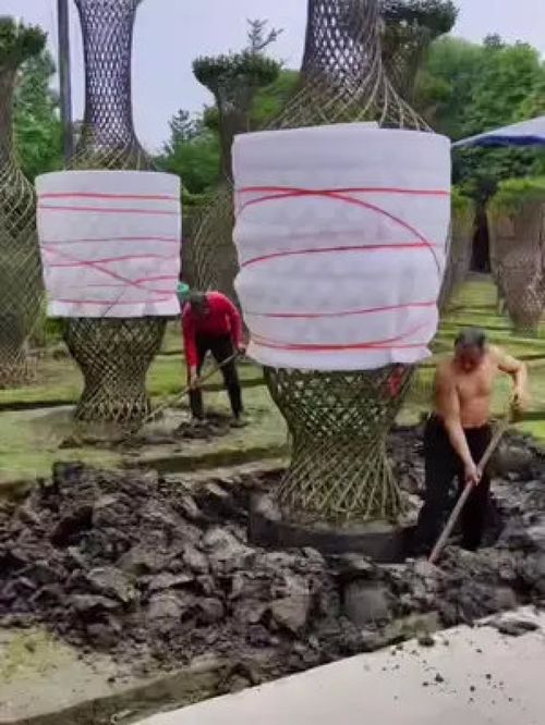 巨無(wú)霸紫薇造型樹震撼登場(chǎng)，金牌苗木人誠(chéng)信供應(yīng)精品綠化苗木